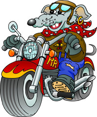 Rat riding a motorcycle