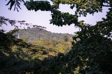 a hill captured from the far between a bunch of trees