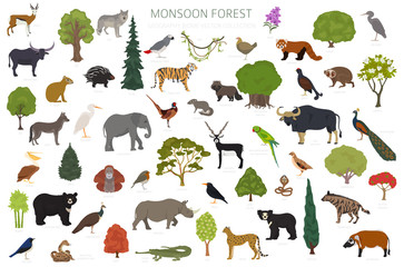 Monsoon forest biome, natural region infographic. Terrestrial ecosystem world map. Animals, birds and vegetations design set