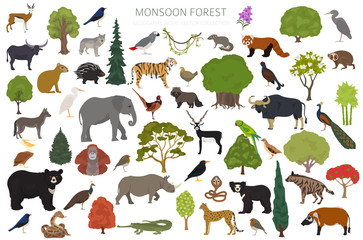 Monsoon forest biome, natural region infographic. Terrestrial ecosystem world map. Animals, birds and vegetations design set © a7880ss