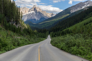 Spectacular road landscapes that run through pine forests and high mountains, Canadian roads with the yellow lines