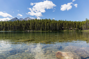 in the water of the lake the pines of the shore are reflected