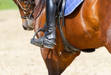 Horseman rides in dressage competitions