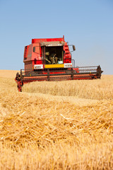 Moissonneuse en action dans les champs de blé en France.