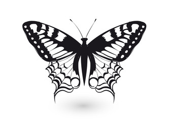 Fototapeta premium handgezeichneter Schwalbenschwanz Schmetterling schwarz weiß