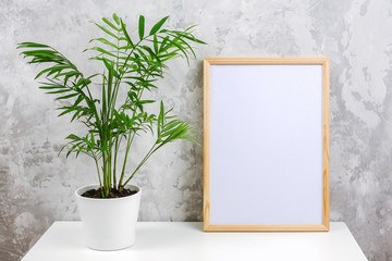 Wooden vertical frame with white blank card and green exotic palm flower in pot on table on gray...