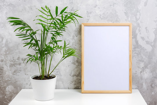 Wooden vertical frame with white blank card and green exotic palm flower in pot on table on gray concrete wall background. Mockup Template for your design, text