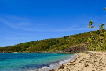 Breezy morning on secluded tropical island beach