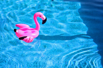 Pink flamingo float in the pool.
