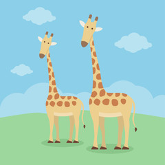 Cute giraffe cartoon standing on the grass with cloud and blue sky.