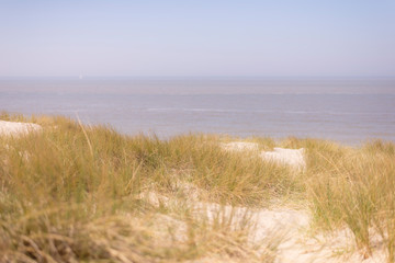 Fototapeta na wymiar Dunes, sand and sea in summer.