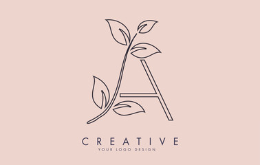 Outline Leaf Letter A Logo Design with Leaves on a Branch and Pink Background. Letter A with nature concept.