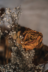 Obraz na płótnie Canvas Dried flowers in a jar
