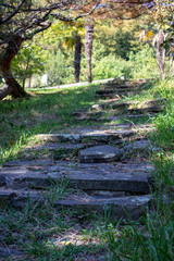 old stone staircase in the forest