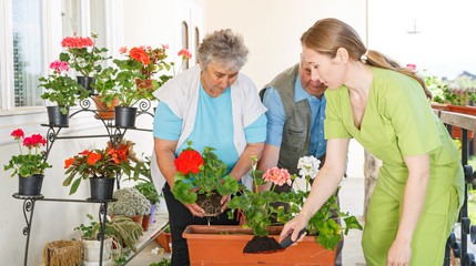 Happy elderly couple planting flower