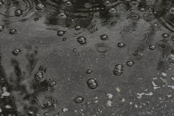 background puddle rain / circles and drops in a puddle, texture with bubbles in the water, autumn rain
