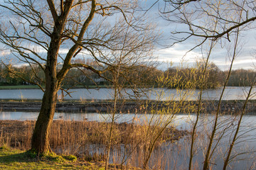 Abenddämmerung im Frühling am Obersee in Bielefeld, Ostwestfalen.