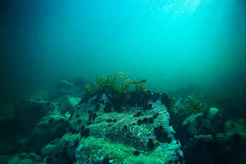Naklejka na ściany i meble sea water texture, underwater background