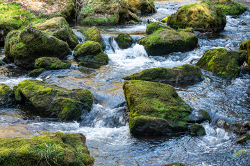 River flowing round green mossy rocks in close up