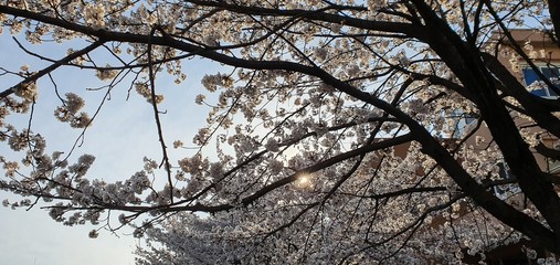 풍경