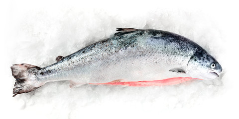 Fresh salmon, shot from the top on a white background