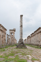 rovine di apamea