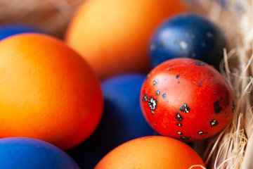 Easter eggs in trendy colors in the basket. The concept of stylish natural decoration for Easter, minimalistic, zero waste, greeting cards, etc.