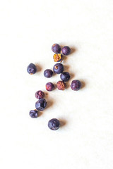 aromatic spices - juniper berries