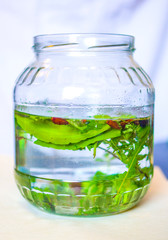 herbs and spices to macerate in alcohol to produce traditional liqueur