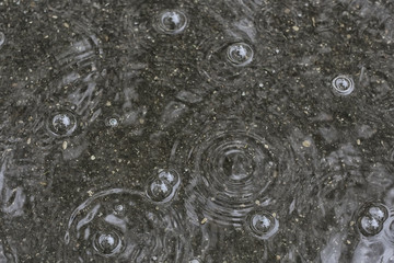 background puddle rain / circles and drops in a puddle, texture with bubbles in the water, autumn rain