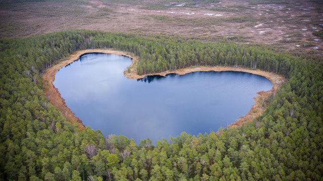 Aerial view over heart-shaped lake in the Parika bog nature reserve, Viljandi county, Estonia, Europe