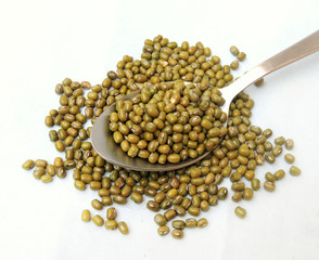 Legume - Mung beans with green skin. Mung beans are light yellow in colour when their skins are removed.The mung bean (Vigna radiata), alternatively known as the green gram, maash, or moong