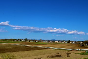 Obraz premium 春 空 爽やか 渡良瀬 風景 杤木