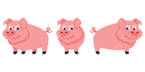 Hog in different poses. Farm animal in cartoon style.