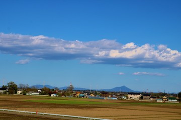 春　爽やか　田舎　風景　杤木