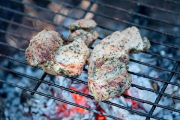 grilled meat on the grill