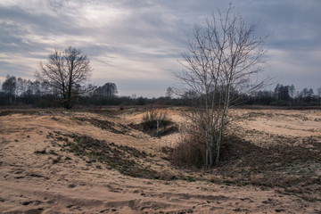 The "Pekatka" dune near Bagno Calowanie in the Masovian landscape park, Celestynow, Poland