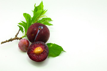 fresh plum isolated on white background closeup