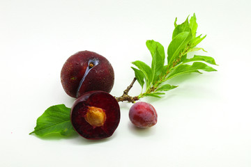 fresh plum isolated on white background closeup