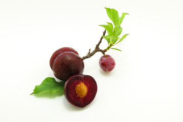 fresh plum isolated on white background closeup