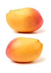 Mango on a white background