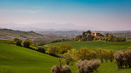 Fototapeta na wymiar Panorama of the rolling green countryside hills of Passo Ripe, near Senigallia, Le Marche, Italy with the mountains in the distance