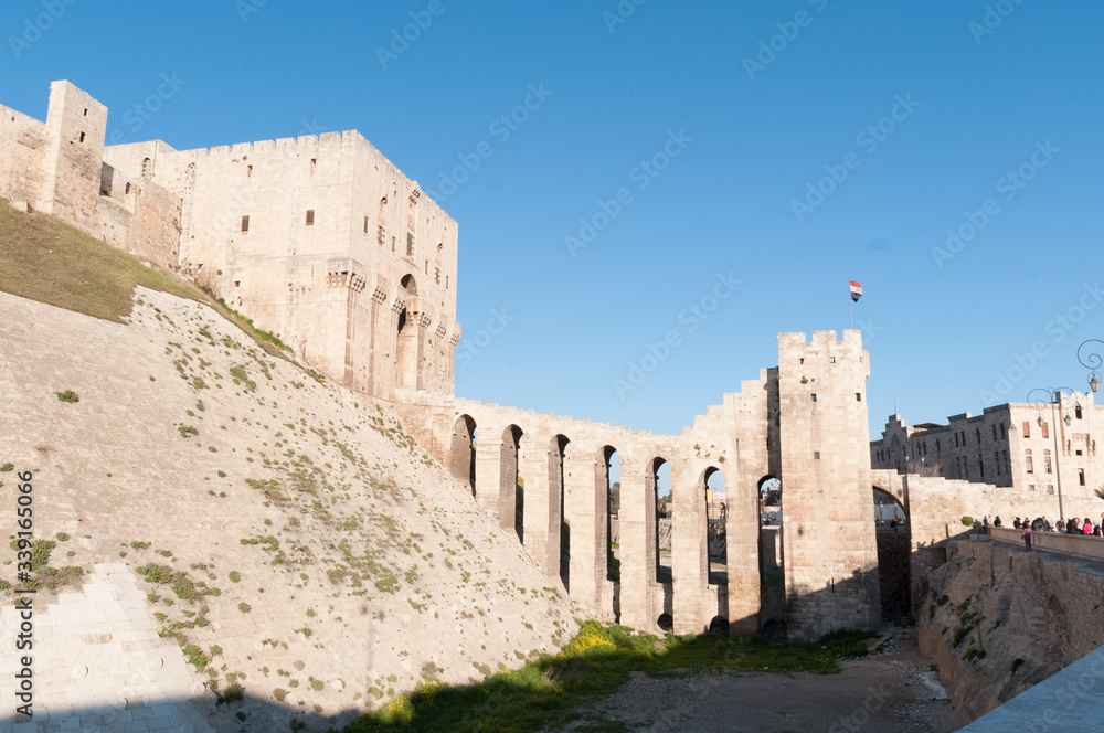 Canvas Prints Cittadella di Aleppo Siria