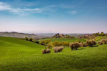 Panorama of the rolling green countryside hills of Passo Ripe, near Senigallia, Le Marche, Italy with the mountains in the distance