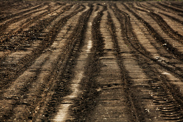 Texture of brown agricultural soil. Beautiful sunrise on the farm. The Farm in the Moldova, Europe. Freshly plowed spring field for planting vegetable seeds.