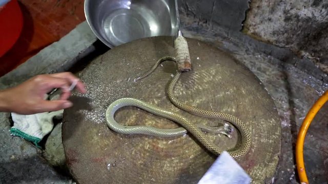 Adult male hands preparing dead snake to be cut using cleaver on chopping block