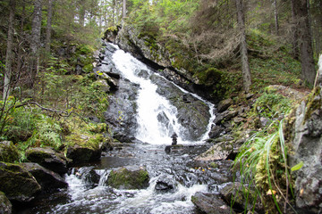 waterfall in the summer forest