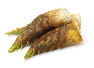 Bamboo shoot on the white background 