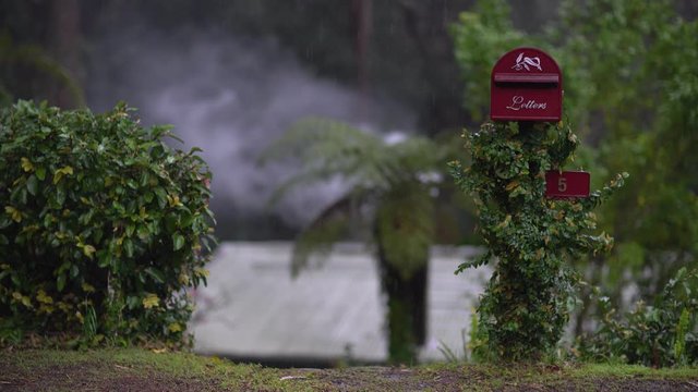 A view on a red mail box on top of a creeper plant with green leaves. A grey roof of a house with chimney smoke and a palm tree in background under a heavy rain.