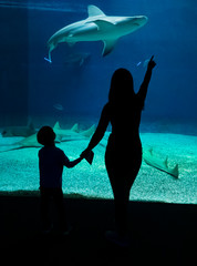 Mom shows her son sharks in an aquarium